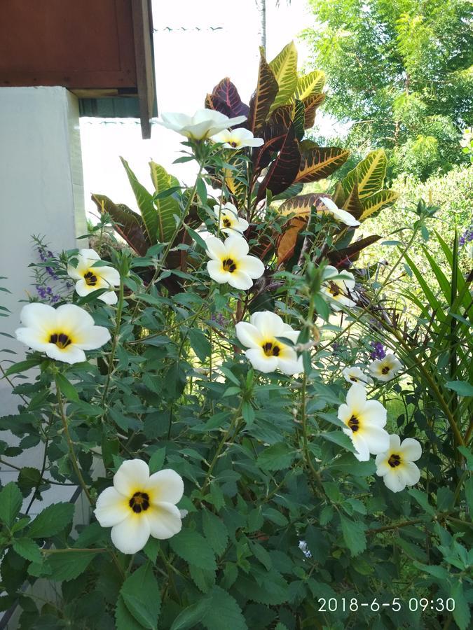 Cnunk Bungalow Acomodação com café da manhã Ilhas Gili Exterior foto