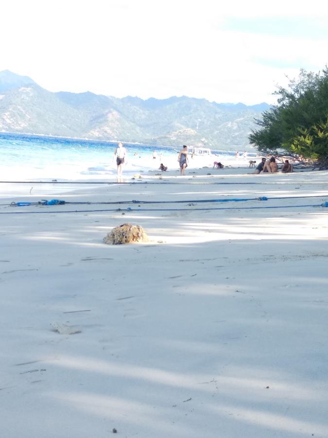 Cnunk Bungalow Acomodação com café da manhã Ilhas Gili Exterior foto